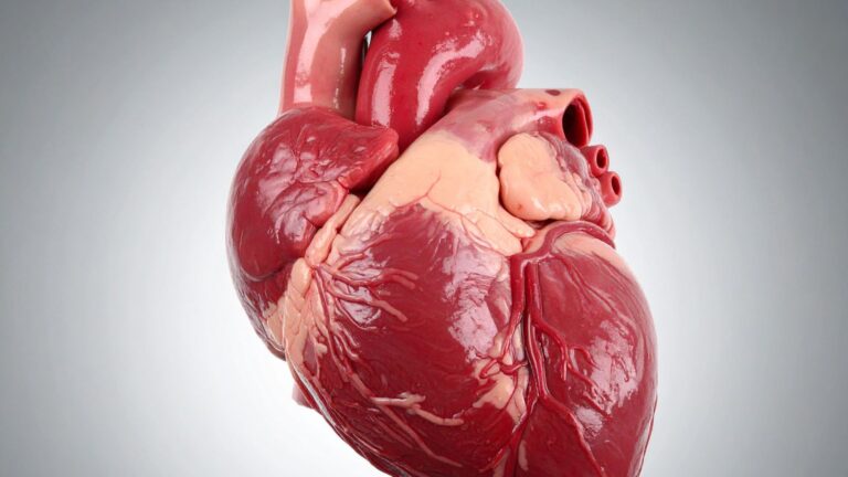 Você já ouviu falar de desvio cardiopulmonar?