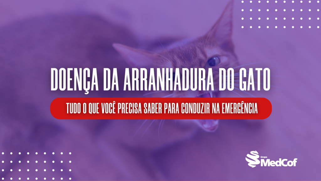 doença arranhadura gato, doenca arranhadura do gato, arranhadura do gato, doença de arranhadura do gato
