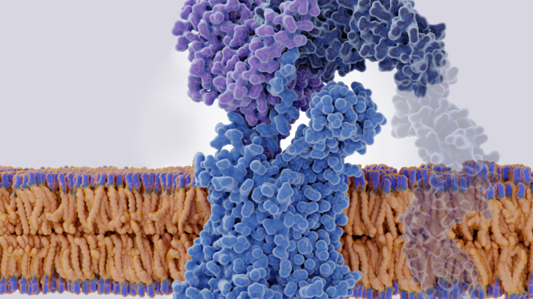 Atualização PCDT-HIV 2023, pcdt ministerio da saude, pcdt ms, CD4, pvhiv, hiv cd4, criptococose, Tuberculose em PVHIV, atualização pcdt hiv, pcdt hiv 2023,