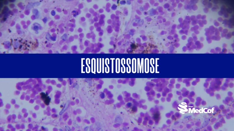 Microscopia de amostras com células e parasitas da esquistossomose