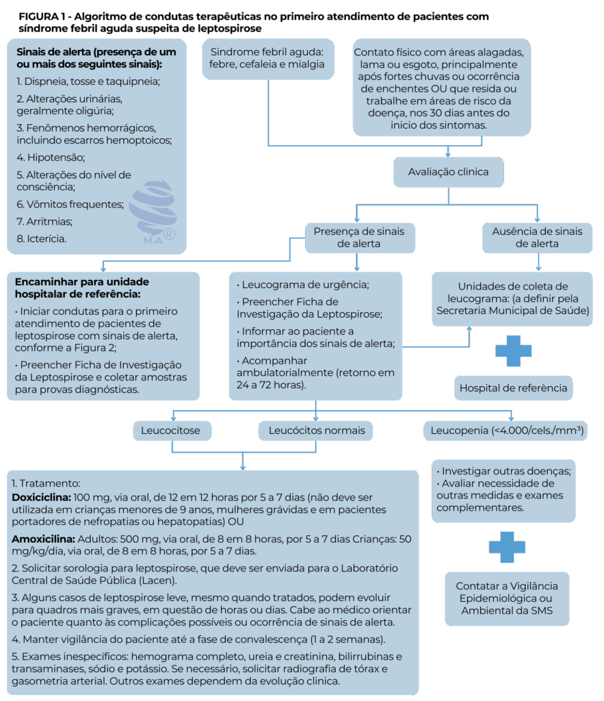 Fluxograma completo para diagnóstico e manejo clínico de pacientes com suspeita de leptospirose. Inclui orientações iniciais, critérios de avaliação clínica (febre, cefaleia, mialgia e exposição a áreas alagadas), sinais de alerta (dispneia, alterações urinárias, hemorragias, hipotensão e outros), e encaminhamentos específicos, como exames laboratoriais, uso de antibióticos (doxiciclina ou amoxicilina), e acompanhamento pela Vigilância Epidemiológica. Ideal para profissionais de saúde e clínicos gerais.