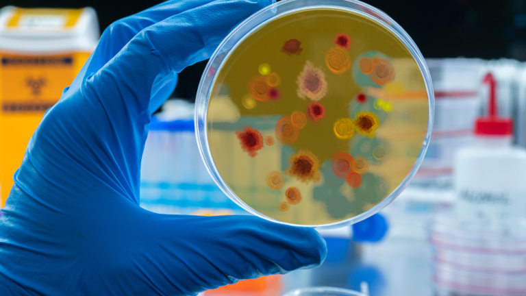 Entenda as classificações dos estudos epidemiológicos