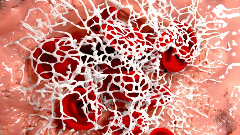 Saiba identificar os Distúrbios da Hemostasia