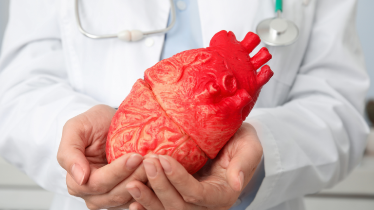 Cardiologia: conheça as áreas, desafios e o caminho até a especialização