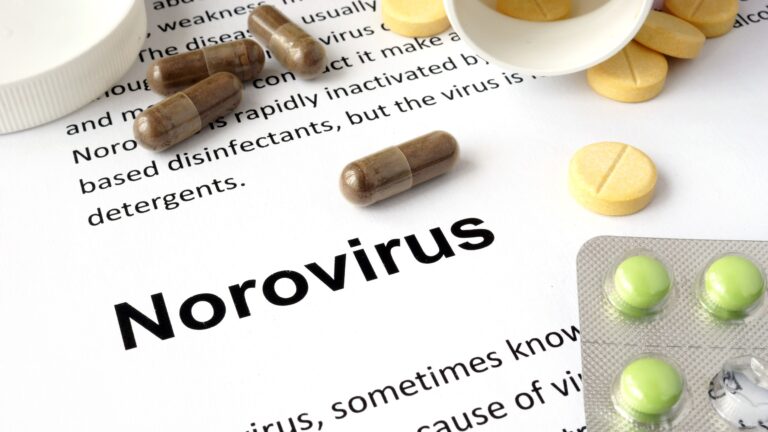Norovírus confirmado no litoral de SP: Entenda mais sobre a doença provocada por ele