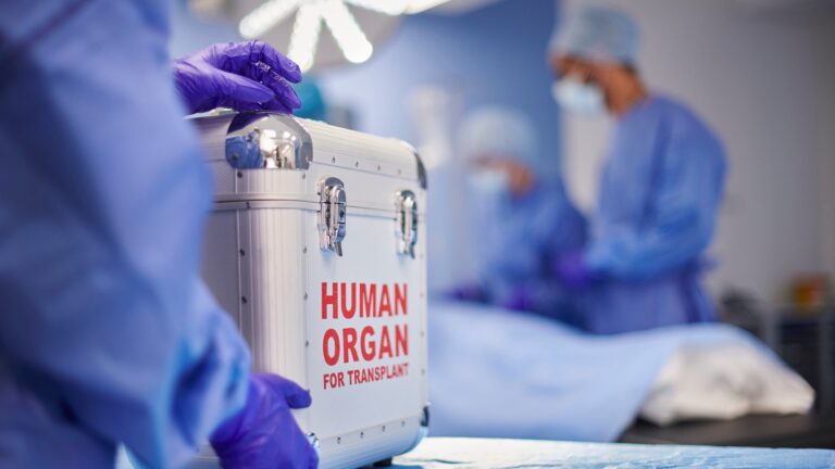 Transplante de intestino delgado e multivisceral passa a ser oferecido no SUS