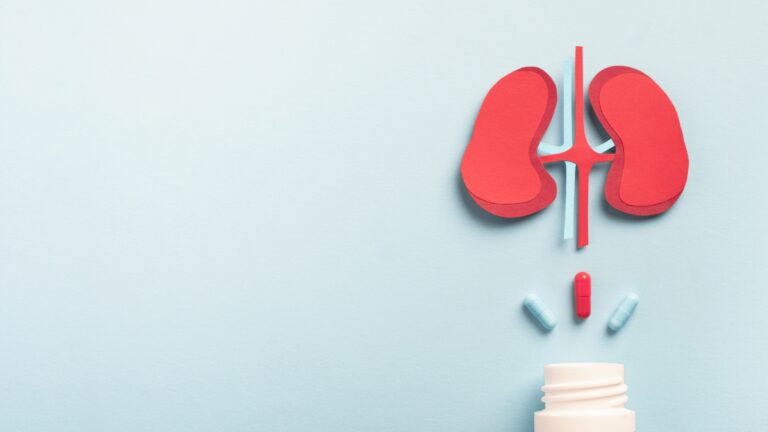 O que é Nefrologia? Saiba tudo sobre a medicina dos rins!