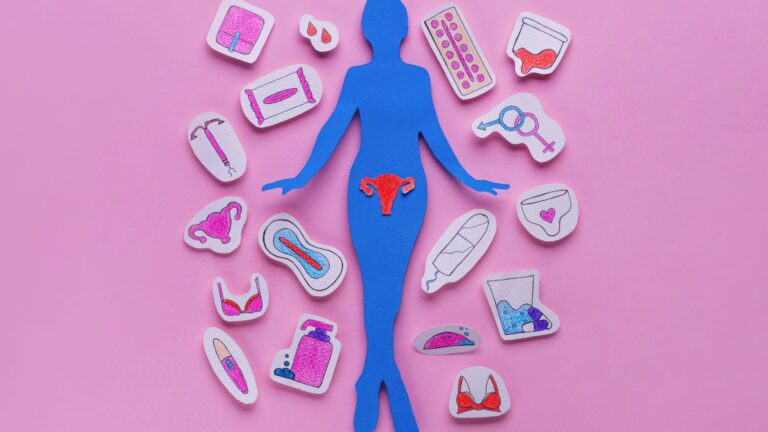 Fisiologia Menstrual: como funciona o ciclo feminino de reprodução 