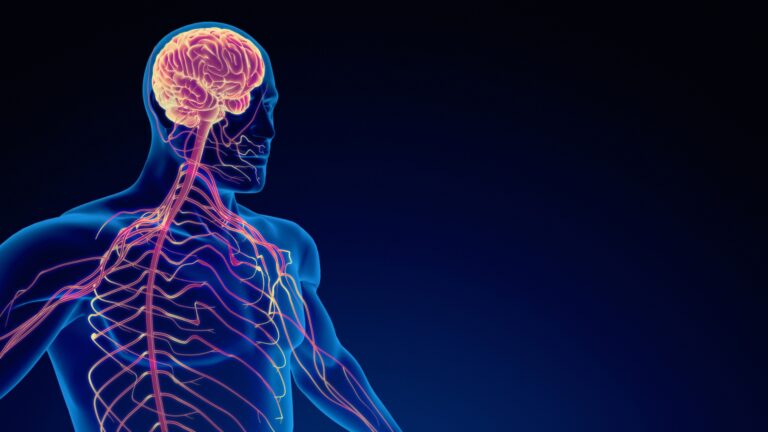 Neurossífilis: quais sintomas e prejuízos causados no sistema nervoso