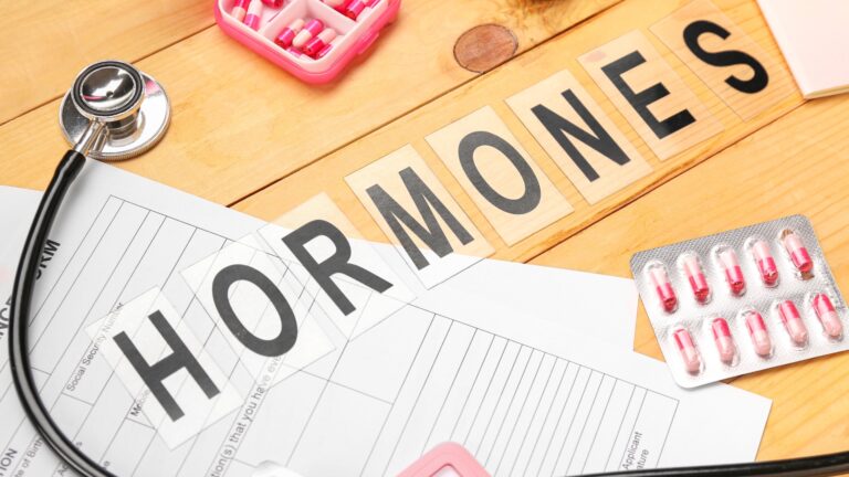 Esteroidogênese: como funciona o metabolismo hormonal?