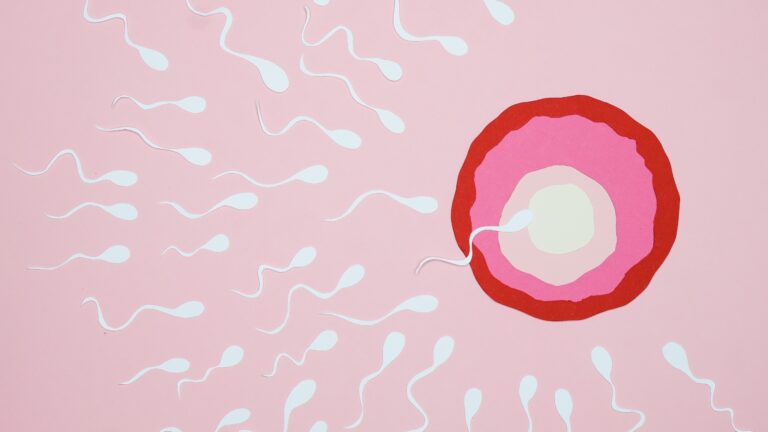 Primeiro bebê de fertilização in vitro com robô de IA é concebido