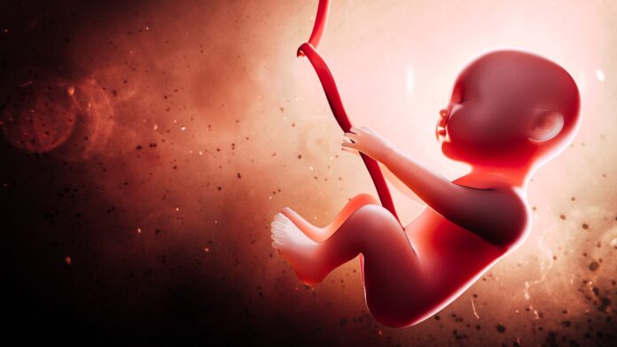 Representação visual de um feto humano em desenvolvimento, conectado pelo cordão umbilical em um ambiente uterino iluminado por tons quentes. A imagem destaca a formação fetal em um estágio avançado, simbolizando o milagre da vida e o processo da gestação. Um fundo nebuloso em vermelho e laranja complementa o foco no bebê, que surge em destaque com traços definidos e um brilho suave. Ideal para temas relacionados a gestação, saúde materna, desenvolvimento fetal e cuidados pré-natais.