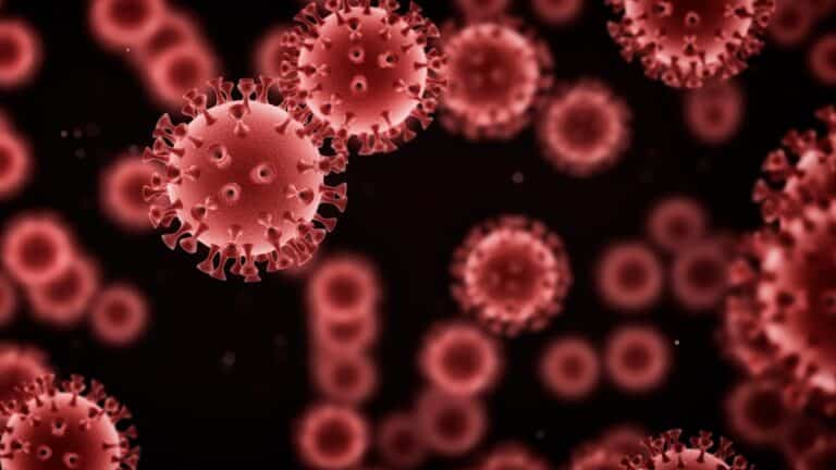Nova recomendação da OMS para prevenção do HIV