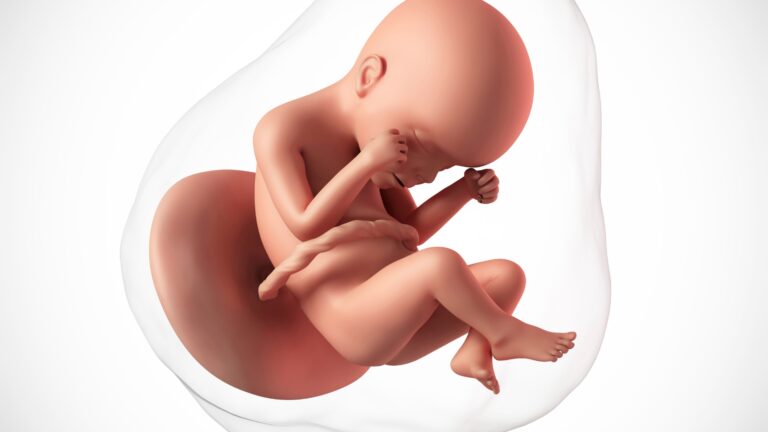 Sofrimento Fetal Agudo e Crônico: avaliação, diagnóstico, classificação e mais!