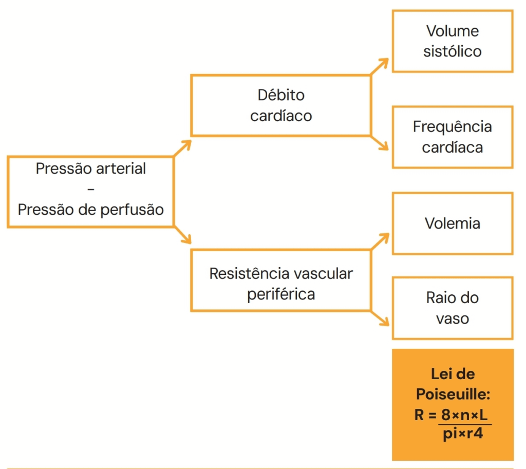 Esquema explicativo da relação entre pressão arterial, débito cardíaco e resistência vascular periférica, destacando fatores como volume sistólico, frequência cardíaca, volemia e raio do vaso, com aplicação da Lei de Poiseuille.