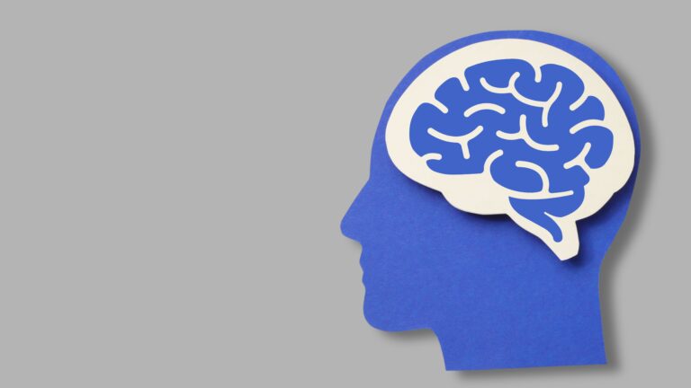 imagem mostra a silhueta de uma cabeça humana com um cérebro em cor azul dentro