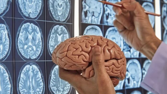 Desenvolvimento Neuropsicomotor