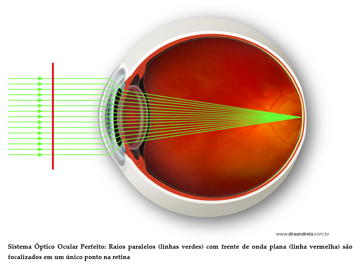 sistema óptico ocular perfeito