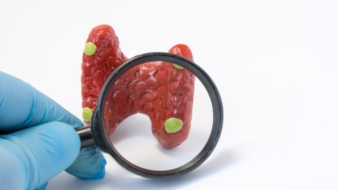 Blog MedCof - 2026-02-24T153706.235