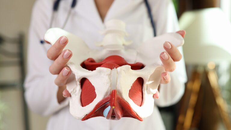 Trauma de Pelve: Tamponamento, Fixação Externa e Angioembolização