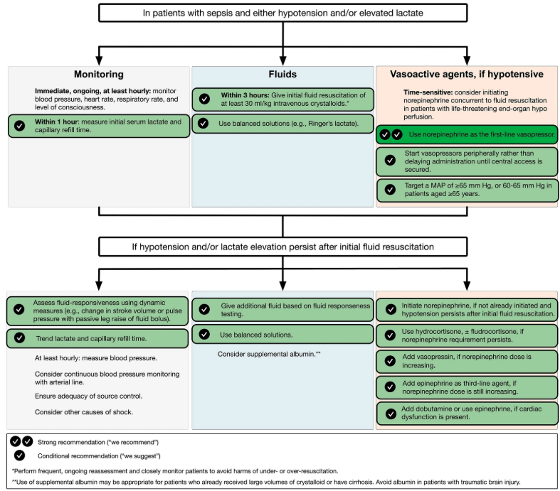 Surviving Sepsis Campaign (SSC)