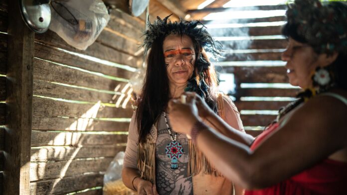 MS reconhece a atuação de especialistas das medicinas indígenas MS reconhece a atuação de especialistas das medicinas indígenas