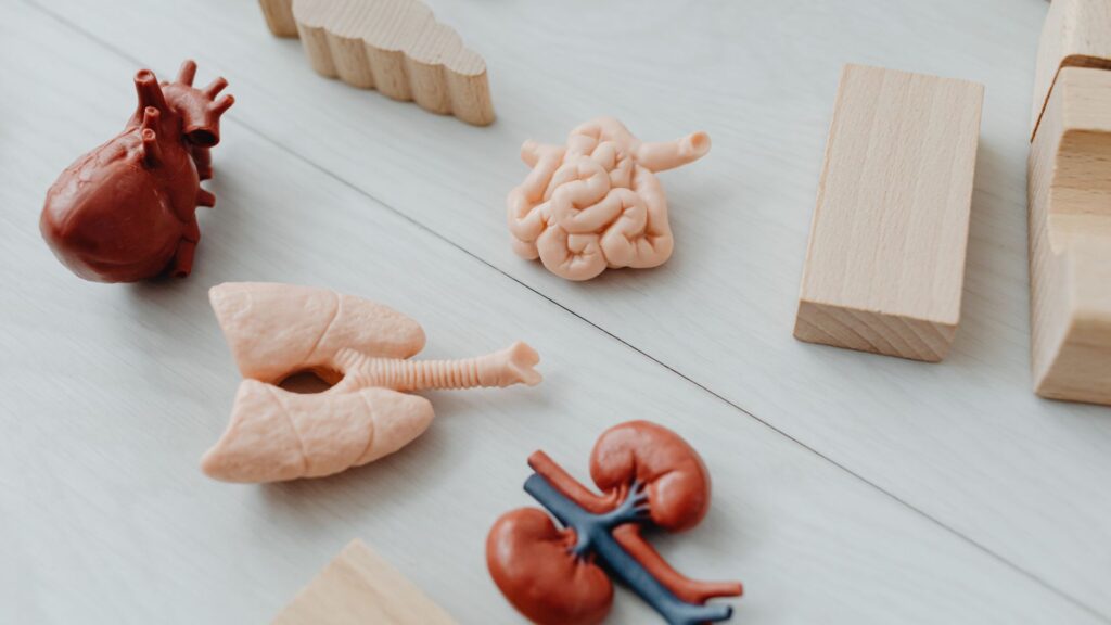 Atualização Roma V: saiba o que mudou