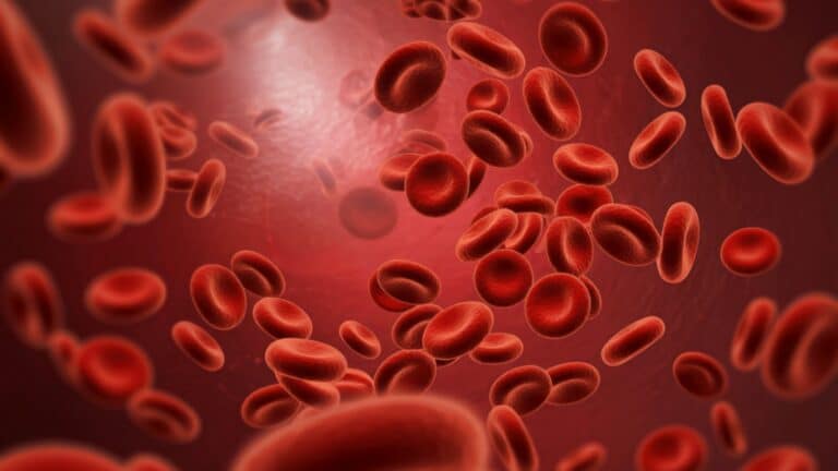 Atualização na Profilaxia de Anemia Ferropriva